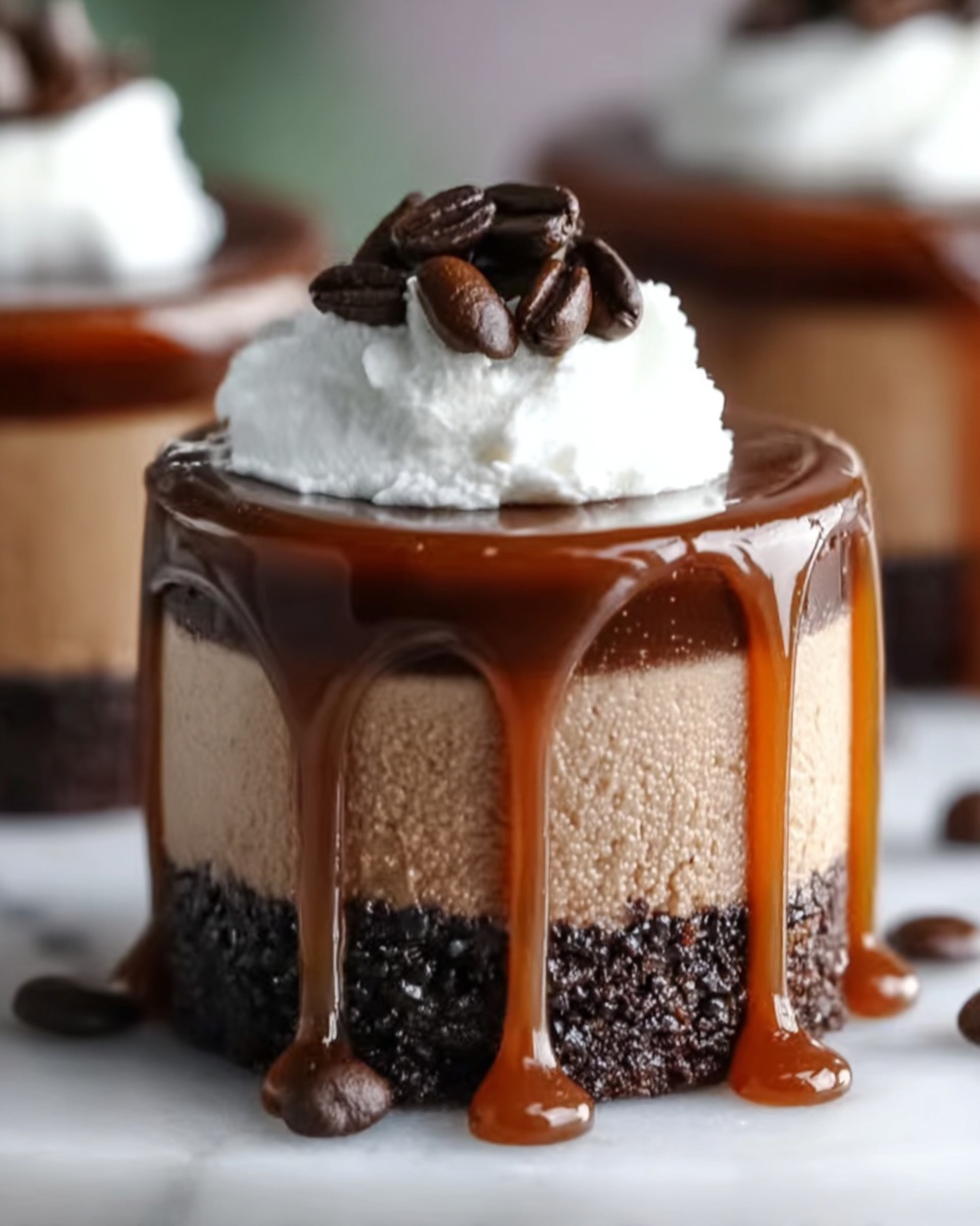Salted Caramel Mocha Cheesecakes Recipe - Recipe Image