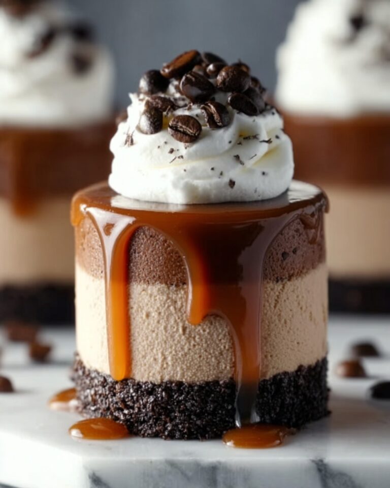 Salted Caramel Mocha Cheesecakes Recipe