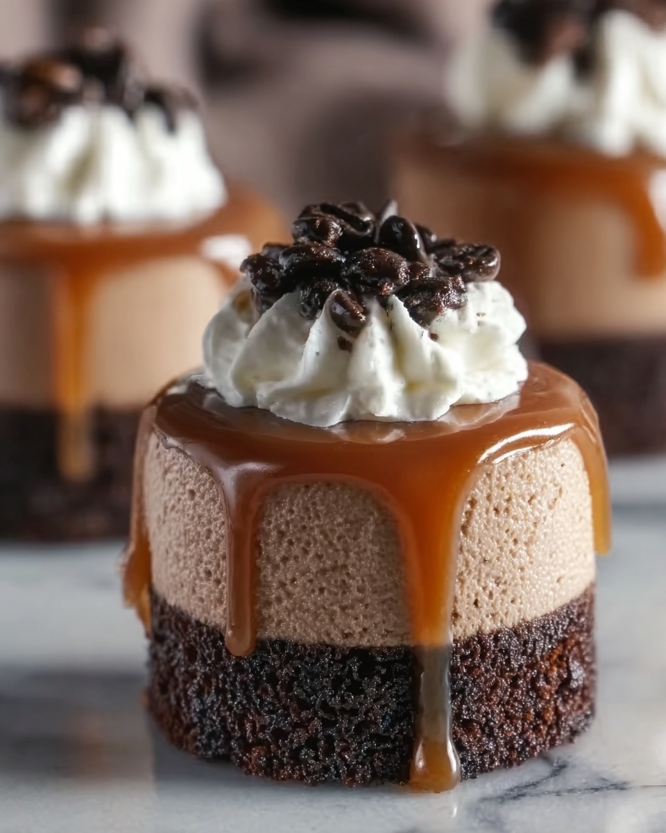 Salted Caramel Mocha Cheesecakes Recipe - Recipe Image