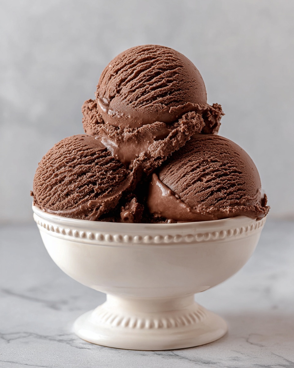 Homemade Chocolate Ice Cream Recipe - Recipe Image